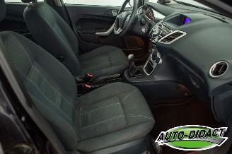 Ford Fiesta 1.6 TDCi Clima ECOnetic Trend picture 12