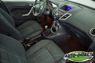 Ford Fiesta 1.6 TDCi Clima ECOnetic Trend picture 10