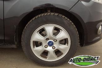 Ford Fiesta 1.6 TDCi Clima ECOnetic Trend picture 24