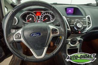 Ford Fiesta 1.6 TDCi Clima ECOnetic Trend picture 5