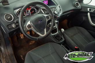 Ford Fiesta 1.6 TDCi Clima ECOnetic Trend picture 15