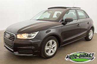 Vaurioauto  passenger cars Audi A1 1.0 TFSI Pano Navi Airco 2017/6