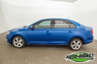 Skoda Rapid 1.6 TDI Clima Greentech Ambition picture 38