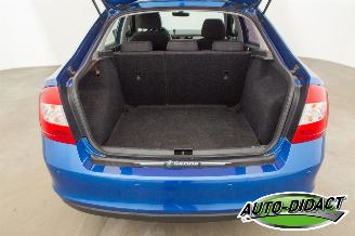 Skoda Rapid 1.6 TDI Clima Greentech Ambition picture 37