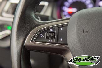 Skoda Rapid 1.6 TDI Clima Greentech Ambition picture 14