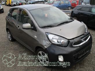 Kia Picanto Picanto (TA) Hatchback 1.0 12V (G3LA) [49kW]  (05-2011/06-2017) picture 2