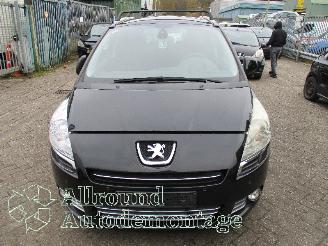 Peugeot 5008 5008 I (0A/0E) MPV 1.6 THP 16V (EP6CDT(5FV)) [115kW]  (09-2009/03-2017=
) picture 5