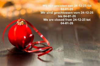 damaged passenger cars Audi  Gesloten van 24-12 tot 04-01-26 2026/1