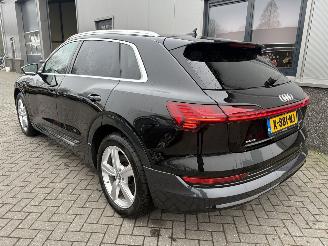 Audi E-tron 55 Quattro Advanced Pro Line Plus 95kWh picture 32