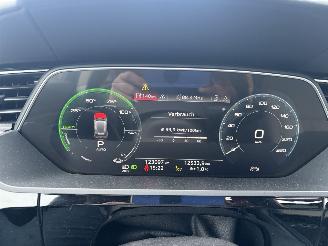Audi E-tron 55 Quattro Advanced Pro Line Plus 95kWh picture 51
