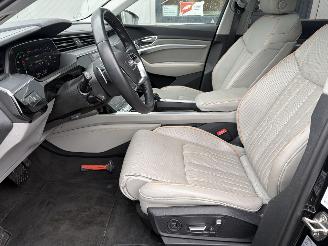 Audi E-tron 55 Quattro Advanced Pro Line Plus 95kWh picture 43