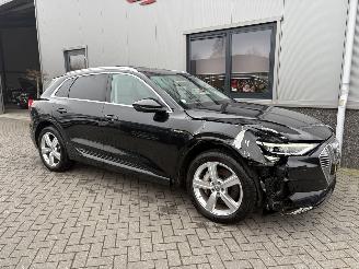 Audi E-tron 55 Quattro Advanced Pro Line Plus 95kWh picture 17