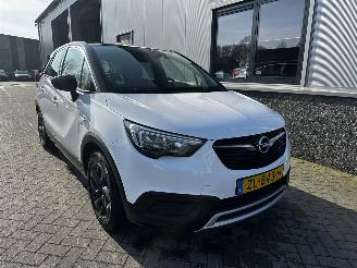 Opel Crossland 1.2 120 Jaar Edition picture 2