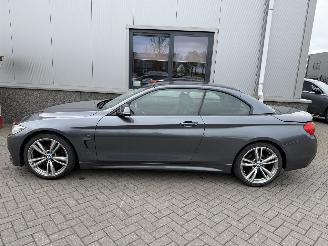BMW 4-serie 420i Centennial High Executive Cabrio picture 20