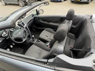 Peugeot 207 CC 1.6 VTi picture 29