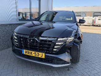 Hyundai Tucson 1.6 T-GDI PHEV Premium 4WD N-Line picture 17