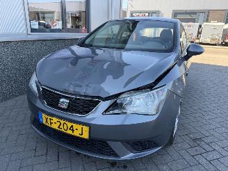 Seat Ibiza 1.4 COPA Plus picture 11