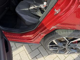 Volkswagen Polo 2.0 TSI GTI picture 48