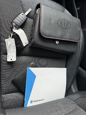 Kia Niro 1.6 GDi Hybrid DynamicLine RG-495-G picture 43