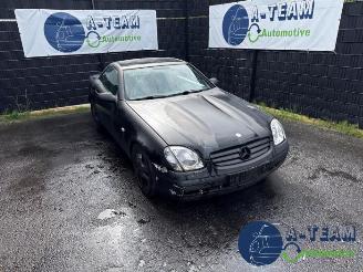 Mercedes SLK SLK (R170), Cabrio, 1996 / 2004 2.0 200 16V picture 1