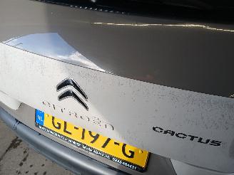 Citroën C4 C4 Cactus (0B/0P) Hatchback 5-drs 1.2 PureTech 82 12V (EB2F(HMZ)) [60k=
W]  (09-2014/...) picture 21