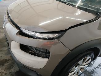 Citroën C4 C4 Cactus (0B/0P) Hatchback 5-drs 1.2 PureTech 82 12V (EB2F(HMZ)) [60k=
W]  (09-2014/...) picture 27