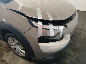 Citroën C4 C4 Cactus (0B/0P) Hatchback 5-drs 1.2 PureTech 82 12V (EB2F(HMZ)) [60k=
W]  (09-2014/...) picture 23