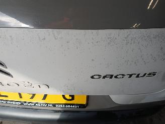 Citroën C4 C4 Cactus (0B/0P) Hatchback 5-drs 1.2 PureTech 82 12V (EB2F(HMZ)) [60k=
W]  (09-2014/...) picture 20