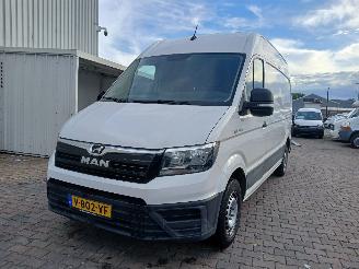 Unfallwagen   TGE Van 2.0 TDI (DAUA) [103kW]  (02-2017/...) 2019/1