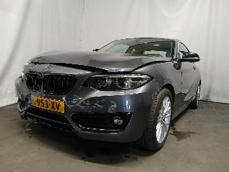 Vaurioauto  passenger cars BMW 2-serie 2 serie (F22) Coupé 218i 1.5 TwinPower Turbo 12V (B38-B15A) [100kW] =
 (03-2015/06-2021) 2018/5