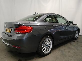 BMW 2-serie 2 serie (F22) Coupé 218i 1.5 TwinPower Turbo 12V (B38-B15A) [100kW] =
 (03-2015/06-2021) picture 6