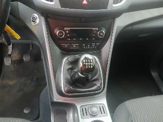 Ford C-Max C-Max (DXA) MPV 1.0 Ti-VCT EcoBoost 12V 125 (M1DA(Euro 5)) [92kW]  (10=
-2012/06-2019) picture 15