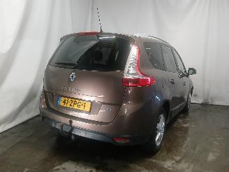 Renault Scenic Grand Scénic III (JZ) MPV 1.2 16V TCe 115 (H5F-400(H5F-A4)) [85kW]  =
(04-2012/12-2016) picture 5