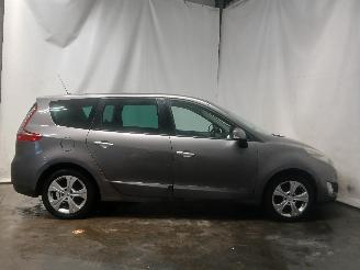 Renault Scenic Grand Scénic III (JZ) MPV 2.0 16V CVT (M4R-F713) [103kW]  (02-2009/1=
2-2016) picture 6