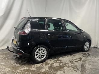 Renault Scenic Scénic III (JZ) MPV 1.2 16V TCe 115 Energy (H5F-400(H5F-A4)) [85kW] =
 (04-2012/09-2016) picture 6