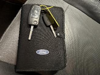 Ford Galaxy Galaxy (WA6) MPV 2.0 16V (A0WA) [107kW]  (05-2006/06-2015) picture 16