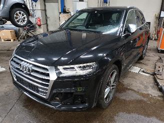 Audi SQ5 SQ5 (FYB/FYG) SUV 3.0 TFSI V6 24V (CWGD) [260kW]  (11-2016/...) picture 1
