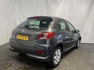 Peugeot 206+ 206+ (2L/M) Hatchback 1.1 XR,XS (TU1JP(HFV)) [44kW]  (01-2009/06-2013)= picture 5