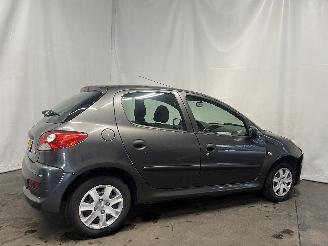 Peugeot 206+ 206+ (2L/M) Hatchback 1.1 XR,XS (TU1JP(HFV)) [44kW]  (01-2009/06-2013)= picture 6