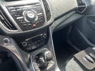 Ford C-Max C-Max (DXA) MPV 1.0 Ti-VCT EcoBoost 12V 125 (M1DA(Euro 5)) [92kW]  (10=
-2012/06-2019) picture 15