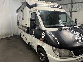 Mercedes Sprinter Sprinter 3t (903) Bus 316 CDI 20V (OM647.981) [115kW]  (04-2000/04-200=
6) picture 8