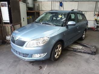 Skoda Fabia Fabia II Combi Combi 5-drs 1.2 TDI 12V Greenline (CFWA) [55kW]  (05-20=
10/12-2014) picture 1