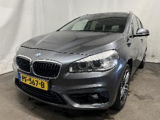 škoda osobní automobily BMW 2-serie 2 serie Gran Tourer (F46) MPV 218i 1.5 TwinPower Turbo 12V (B38-A15A) =
[100kW]  (03-2015/...) 2016/7