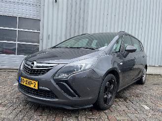 Opel Zafira Zafira Tourer (P12) MPV 1.4 Turbo 16V ecoFLEX (A14NET(Euro 5)) [88kW] =
 (10-2011/06-2014) picture 1