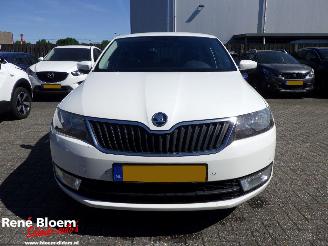 Skoda Rapid 1.4 TDI Greentech Joy Navi 90pk picture 6
