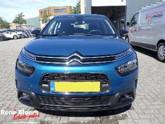 Citroën C4 cactus 1.2 PureTech Business 110pk picture 3