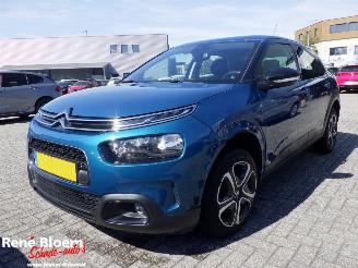 Citroën C4 cactus 1.2 PureTech Business 110pk picture 4