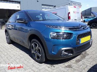 Citroën C4 cactus 1.2 PureTech Business 110pk picture 2