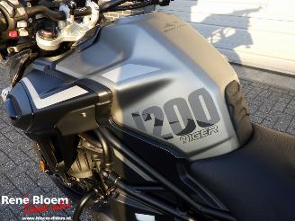 Triumph Tiger 1200 Desert Edition picture 11