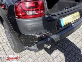 Citroën C4 cactus 1.6 Blue HDI Business 99pk picture 11